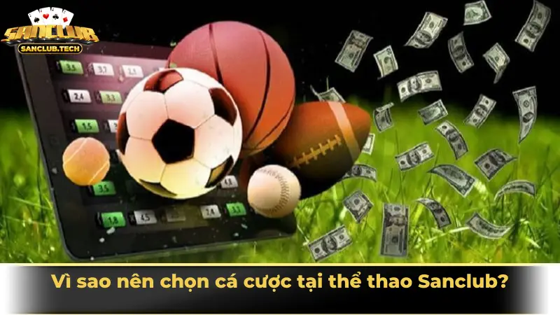 Sảnh cá cược thể thao Sanclub hiện đại, kịch tính và đáng trải nghiệm nhất 2025 2 Vì sao nên chọn cá cược tại thể thao Sanclub?